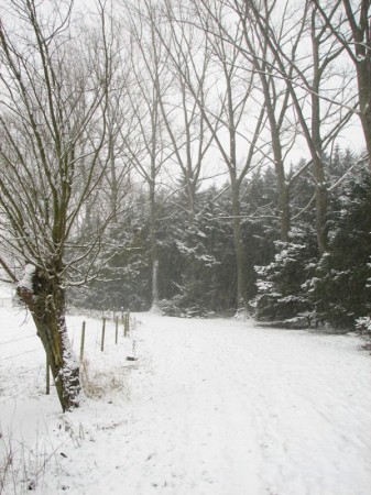 Sneeuwstorm in Bourgoyen